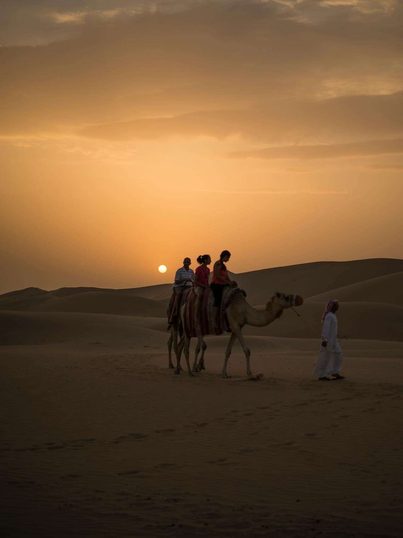 Hot-Selling in Abu Dhabi