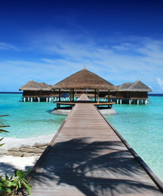 Popular Experiences in Dubai