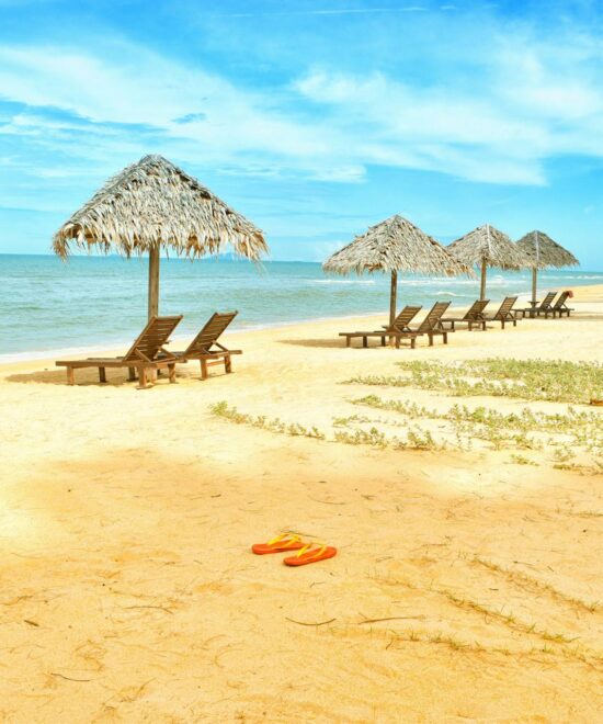 Popular Experiences in Dubai