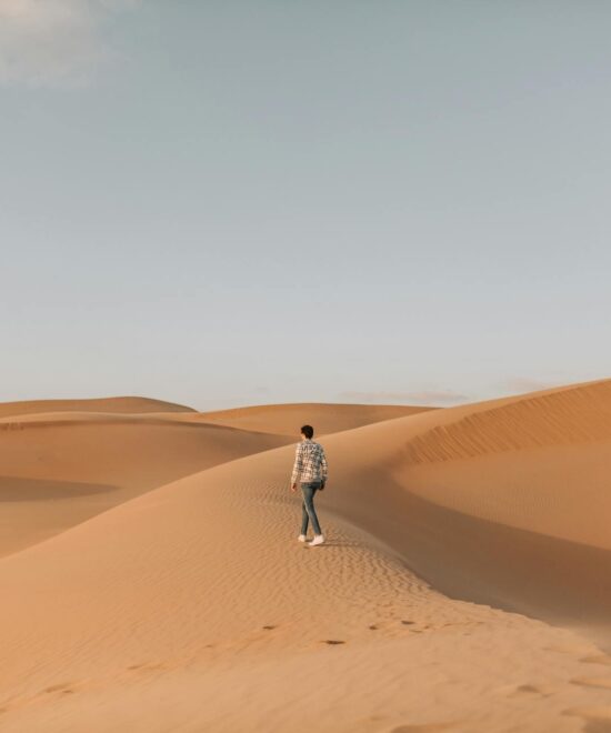 Popular Experiences in Dubai