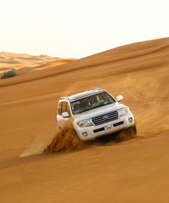 Popular Experiences in Dubai
